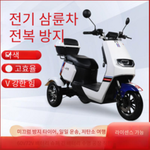 출퇴근 삼륜 전동스쿠터 3륜 어르신 전기 바이크 오토바이 자전거 전동차, 60V20A 배터리