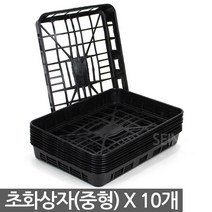 플라스틱화분 포트 초화박스 - 모종 트레이 육묘상자 포트상자 포트운반 모종운반 삽목상자 초화상자 육모박스 이색포트 연결구 연결포트, 02_세인_초화상자(중) X 10개