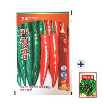 2023 팜한농 PR청양 100립 500립 고추 종자 씨 씨앗 + 농사친구 사은품 세트, PR청양100립+모듬쌈채1봉