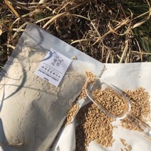 구월의아침 쪄서볶은 귀리분말쉐이크 귀리미숫가루 선식, 500g, 8팩