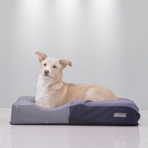 젠틀리머 펫베드 S 메모리폼 강아지 고양이 쿠션 방석, 색상:그레이다크블루