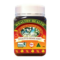 웰시헬스 유칼립투스 오가닉 꿀 500g HONEY500, 1개