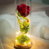 미녀와 야수 장미 무드등