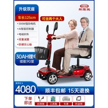 트렉 세발 전기 자전거 유아동승 전동 클래식 배달 어르신 팻바이크 2인용 삼륜 성인 짐받이, 24V, 15.2인승/30Ah리튬/약90리/300W모터