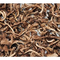 국산 건조 능이버섯 건능이 국내산 정품 말린 능이 100g