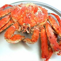 자숙 레드 킹크랩 2kg