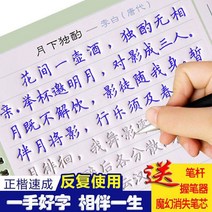 만년필 따라쓰기 정체의 글씨본 서첩 글씨를 연습 스티커 해서다 홈 하드 펜 고등학교 빅 여학생 스윗 2659386421, 당시 송사. 1붓대 6펜 리필심 1쥐기 필기