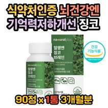 기억력저하 혈행개선 기억력개선 포화지방 징코효능 징코효과 플라보노이드효능 플라보노이드효과 판토텐산효능 판토텐산 효과 기억력 영양제 뇌영양제 뇌에좋은영양제 집중력영양제