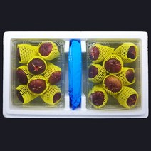 더조은푸드 전남 영암 무화과 600g x 2팩, 단품없음