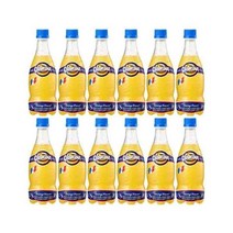 롯데)오랑지나420ml 20개 업소용 가정용 도매