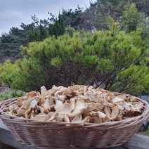 말린 생강 100g 200g 건강 생강 차 만들기 효능 가루 생강청 생강 말리기 대추생강차