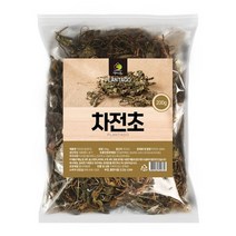 엄마애손 국내산 차전초 질경이 200g, 1개