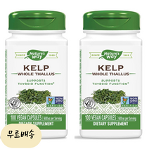 오라마켓 네이쳐스 웨이 켈프 600mg 100캡슐 X 2통 네이처스웨이 다시마 추출물, 2개, 100개