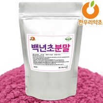 백년초가루 300g 분말 생강 효능, 1개