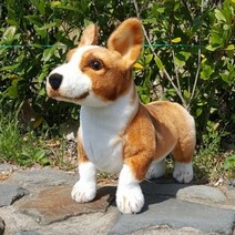 바보사랑 진짜같은리얼펫 강아지인형 웰시코기 44cm.라이프웨어(무료배송)