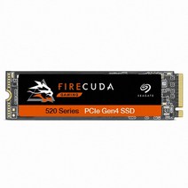 씨게이트 파이어쿠다 520 M.2 NVME SSD, ZP1000GM30002, 1TB