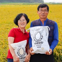 인생쌀집 전북 김제 햅쌀 단일품종 신동진 백미 당일도정 맛있는쌀 추천, 4kg, 1개