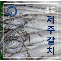 [해선유통] 제주 갈치 10kg 1박스 [냉동], (50-55미)10kg