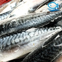 바다해 도매 노르웨이 고등어 20kg 300500 약 52미 업소용, 단품