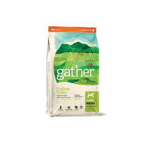 게더 앤드레스밸리 비건 레시피 건식사료, 1kg1개