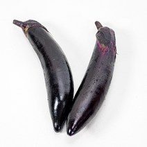 [프레베] 축양가지(2입)