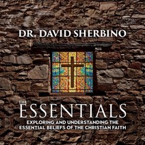 (영문도서) The Essentials: Exploring and Understanding the Essential Beliefs of the Christian Faith Paperback, Castle Quay Books, English, 9781988928579