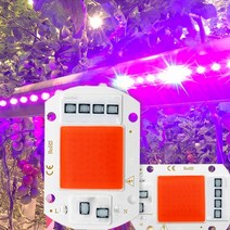 식물성장조명 식물등 LED 재배 실내 가정용 스마트팜 성장 빛 전체 스펙트럼 COB 칩 AC 110V 220V 필요 없음 드라이버 식물 Phyto 램프 모 종, [02] 220V, [01] 10w, 02 220V_01 10w