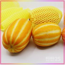 성주 고당도 꿀참외 고급형 당일수확 개별 망포장, 고급형 특대과 5kg (9~14과)