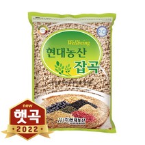 [쪄서말린율무] 현대농산 2022년산 국산 율무 2kg, 1개
