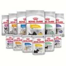 로얄캐닌 강아지 건강기능 85gx12개 습식사료모음, 85g, 로얄캐닌 독 코트케어 85g x 12 습식, 12개