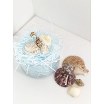 습자지포장 스타핑 스터핑 쵸핑 종이완충제 완충재 선물 포장, 흰색