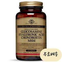 솔가 글루코사민 히알루론산 콘드로이틴 MSM 타블렛, 120개입 × 1개, 120정, 1개