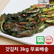 한국농협김치 국산 재료 진안 마이산 갓김치 3kg, 단품