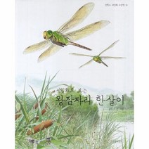 유니오니아시아 세밀화로 보는 왕잠자리 한살이