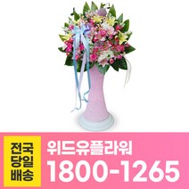 위드유플라워 축하화환 전국당일배송 축하 1단 오브제 C029