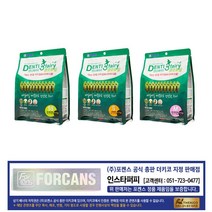 포켄스 덴티페어리 클로로필 410g +랜덤간식, 1개, M