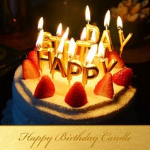 el80 해피벌스데이 초 (금색) 생일양초/예쁜생일초/생일초/생일축하초/이벤트초