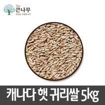 The큰나무 캐나다/호주 귀리 5kg 햇 귀리쌀, 1, 5kgx1팩