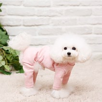 펫디자인 휘트니스 올인원, 파스텔핑크