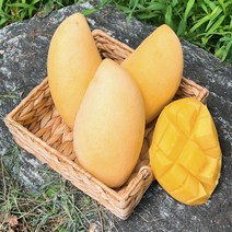 망고 항공직송 새콤달콤 태국망고 골드망고 2.5kg 5kg, 망고5kg 14과수내외, 1개
