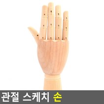 관절 스케치 손