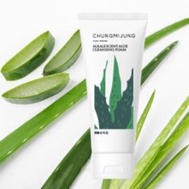 청미정 클렌징폼 알로에 발효 약알칼리성 올리브영 폼클렌징 200ml