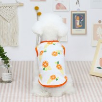 창대 강아지 애견 민소매 면 의류 과일 티셔츠, 오렌지