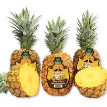 감숙왕 허니골드 파인애플3수(1수당1kg내외) /2개주문시7수발송, 감숙왕 파인애플 1kg내외X3수 /2개주문시 7수발송