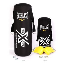 [EVERLAST] 프로 엑스텍스 샌드백 킥 펀칭연습