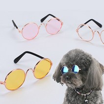 제이스 패션템 강아지 고양이 선글라스 도글라스 냥글라스, 9. 골드투명