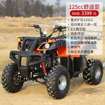 산악 4륜 오토바이 화물 ATV 바이크 큰 황소 비치 카 4 륜 오프로드 성인 더블 가솔린 전 지형 륜구동 농업 atv, 125cc 컴포트