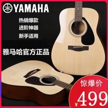 입문용 연습용 입문 통기타 기타370 일렉트로니카 41인치 FG800 싱글보드, 02 F600 배터리+프리미엄 선물세트