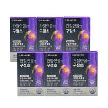 관절연골엔 구절초 식약처인증 골프 관절 연골 영양제 6박스 조인시스트, 상세페이지 참조, 상세페이지 참조