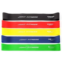 Joint Fitness 라텍스 저항 밴드 지침 가이드 및 휴대용 가방 포함 5개 세트 홈 헬스 클럽 요가 운동 근력 훈련 물리 치료용 운동 루프